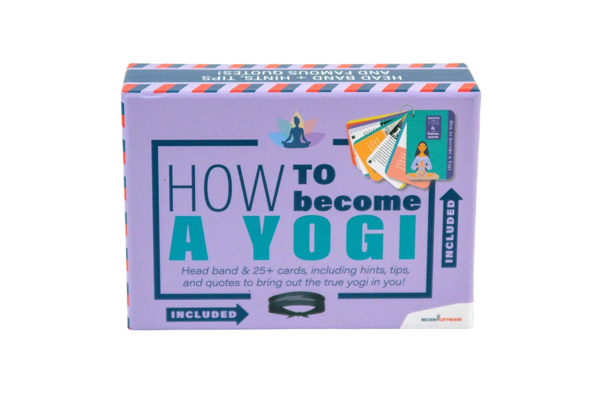 Recent Toys - How to Yogi kort